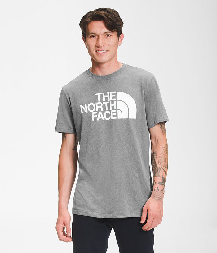 Camiseta The North Face Hombre Manga Corta Half Dome Gris - Peru 03175WAON